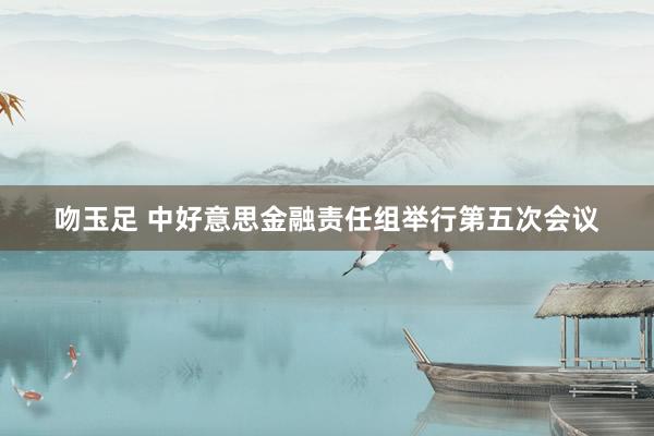 吻玉足 中好意思金融责任组举行第五次会议
