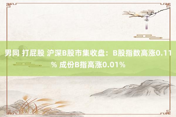 男同 打屁股 沪深B股市集收盘：B股指数高涨0.11% 成份B指高涨0.01%