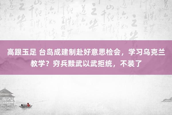 高跟玉足 台岛成建制赴好意思检会，学习乌克兰教学？穷兵黩武以武拒统，不装了