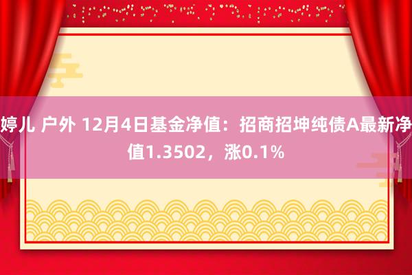 婷儿 户外 12月4日基金净值：招商招坤纯债A最新净值1.3502，涨0.1%