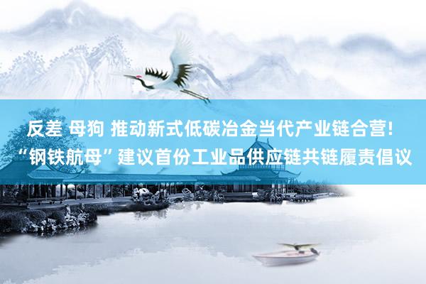 反差 母狗 推动新式低碳冶金当代产业链合营! “钢铁航母”建议首份工业品供应链共链履责倡议