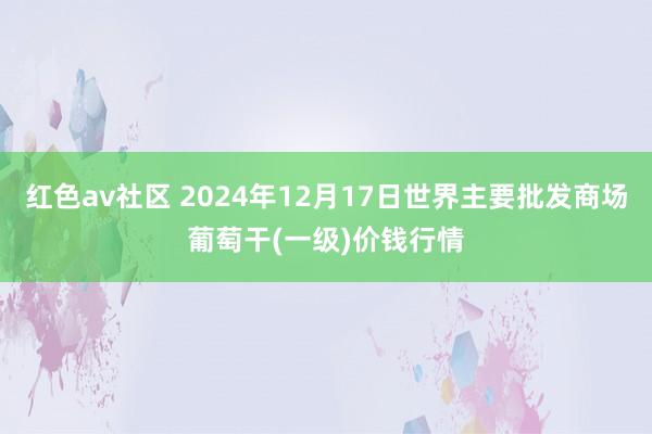 红色av社区 2024年12月17日世界主要批发商场葡萄干(一级)价钱行情