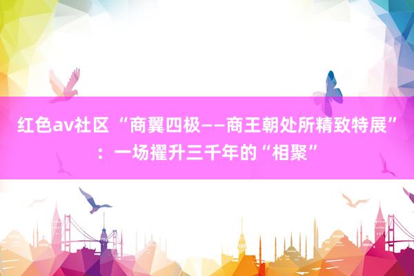 红色av社区 “商翼四极——商王朝处所精致特展”：一场擢升三千年的“相聚”