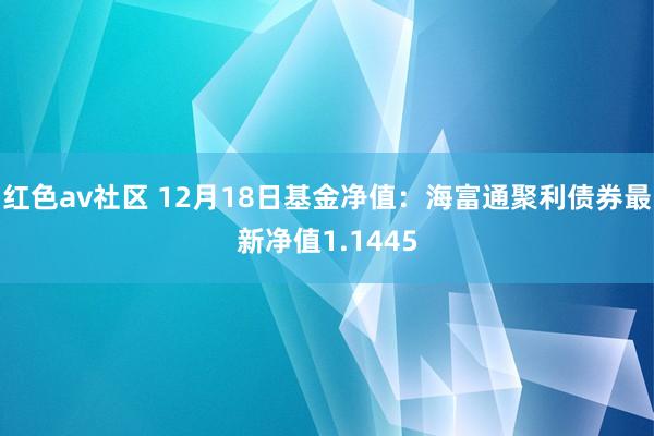红色av社区 12月18日基金净值：海富通聚利债券最新净值1.1445