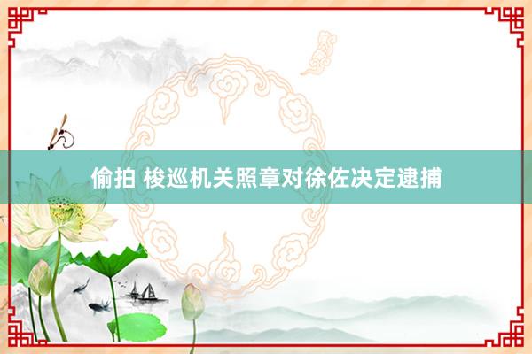 偷拍 梭巡机关照章对徐佐决定逮捕