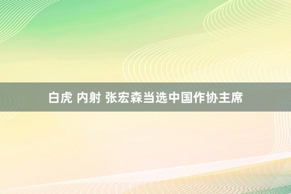 白虎 内射 张宏森当选中国作协主席