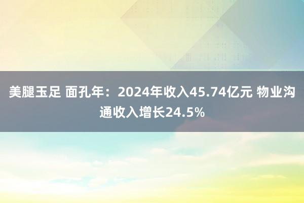 美腿玉足 面孔年：2024年收入45.74亿元 物业沟通收入增长24.5%
