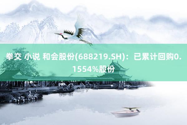 拳交 小说 和会股份(688219.SH)：已累计回购0.1554%股份