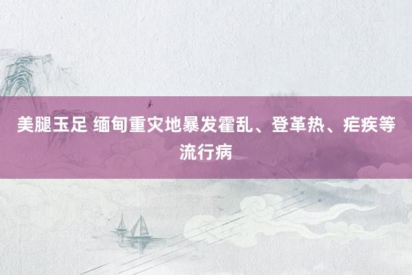 美腿玉足 缅甸重灾地暴发霍乱、登革热、疟疾等流行病