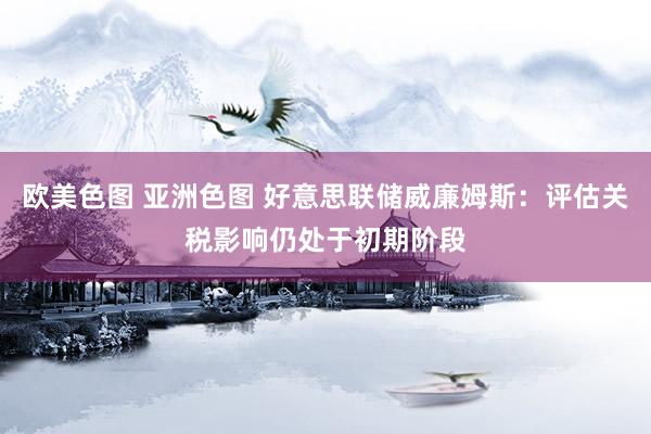 欧美色图 亚洲色图 好意思联储威廉姆斯：评估关税影响仍处于初期阶段