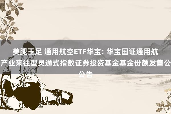 美腿玉足 通用航空ETF华宝: 华宝国证通用航空产业来往型灵通式指数证券投资基金基金份额发售公告