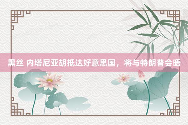 黑丝 内塔尼亚胡抵达好意思国，将与特朗普会晤