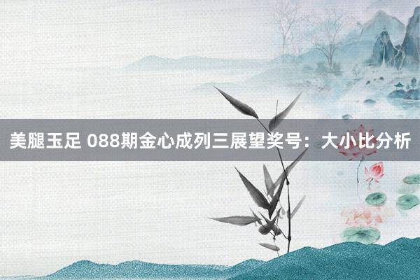 美腿玉足 088期金心成列三展望奖号：大小比分析