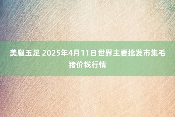 美腿玉足 2025年4月11日世界主要批发市集毛猪价钱行情