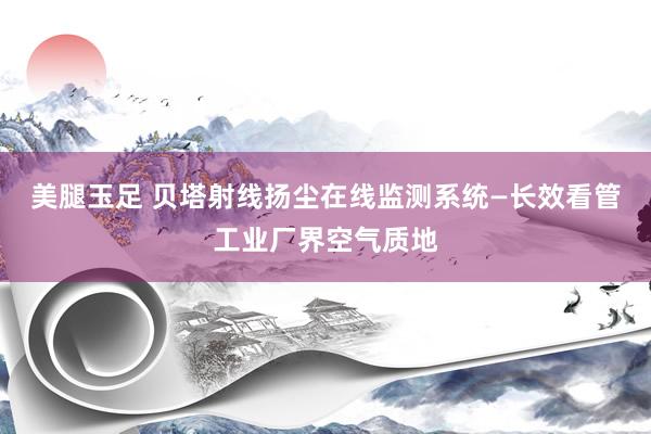美腿玉足 贝塔射线扬尘在线监测系统—长效看管工业厂界空气质地