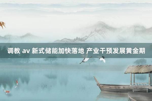 调教 av 新式储能加快落地 产业干预发展黄金期