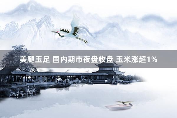 美腿玉足 国内期市夜盘收盘 玉米涨超1%