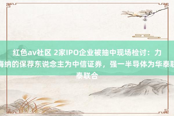 红色av社区 2家IPO企业被抽中现场检讨：力源海纳的保荐东说念主为中信证券，强一半导体为华泰联合