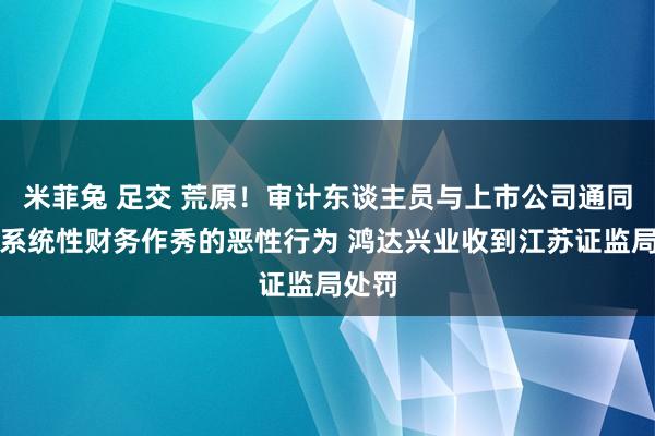 米菲兔 足交 荒原！审计东谈主员与上市公司通同进行系统性财务作秀的恶性行为 鸿达兴业收到江苏证监局处罚