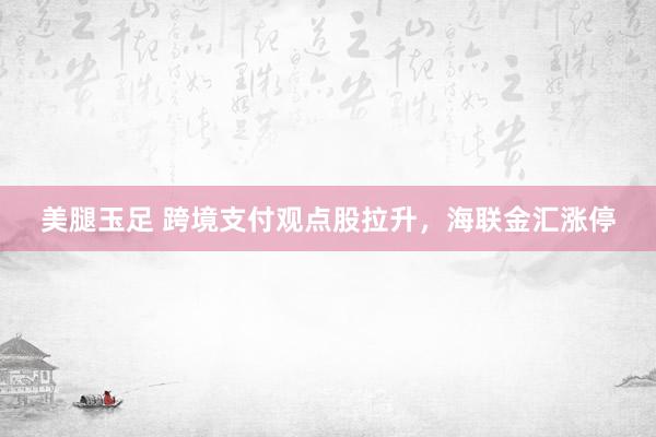 美腿玉足 跨境支付观点股拉升，海联金汇涨停