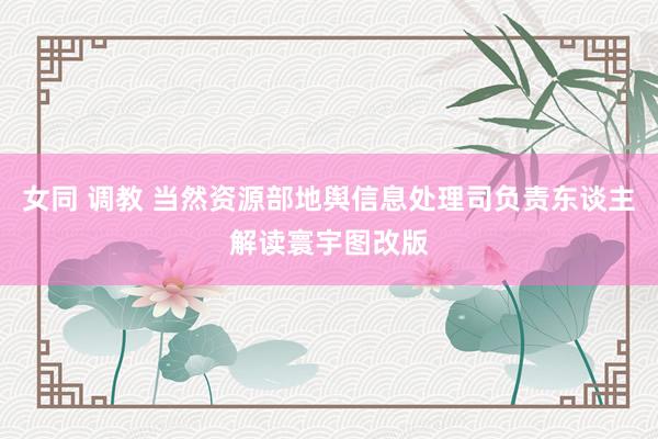 女同 调教 当然资源部地舆信息处理司负责东谈主解读寰宇图改版