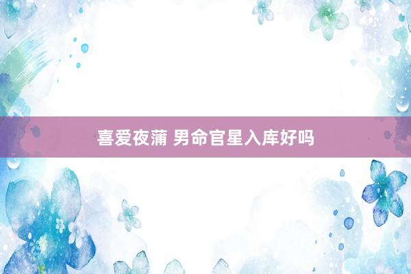 喜爱夜蒲 男命官星入库好吗